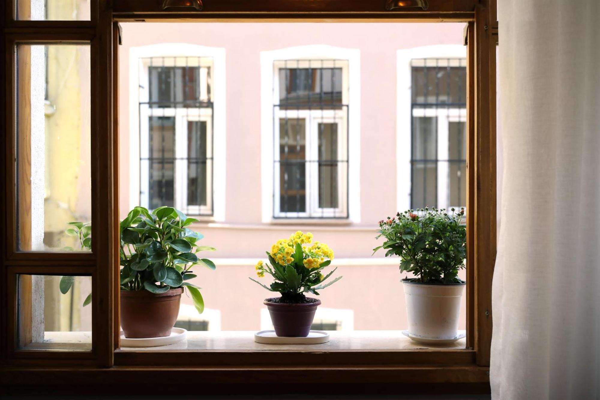 Narpera Taksim Boutique Hotel اسطنبول المظهر الخارجي الصورة